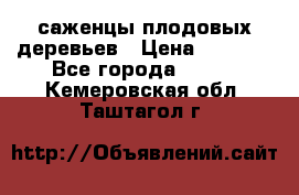 саженцы плодовых деревьев › Цена ­ 6 080 - Все города  »    . Кемеровская обл.,Таштагол г.